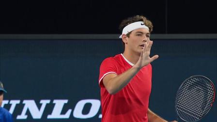 无疑会将 无疑会将